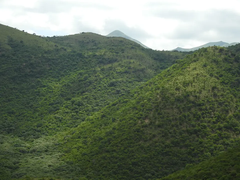 DSCN0568.JPG