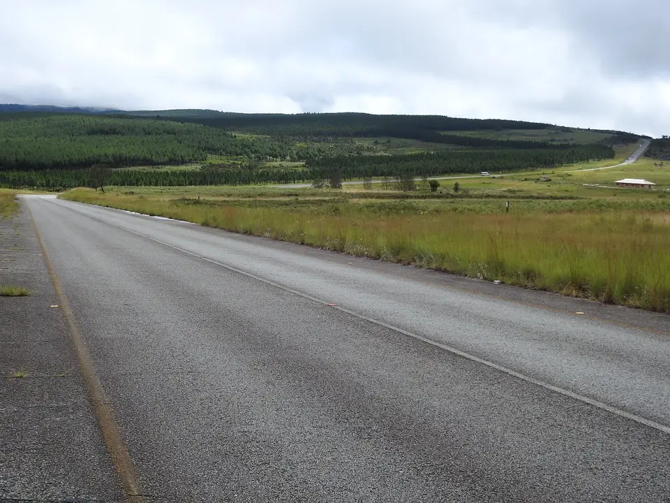 DSCN0610.JPG