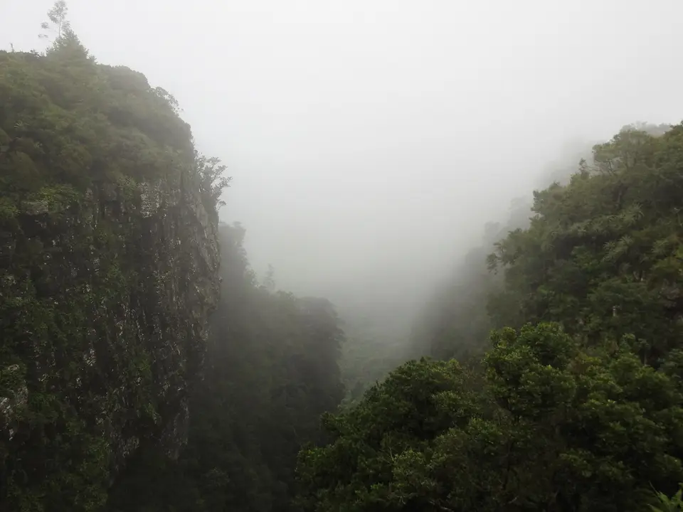 DSCN0628.JPG
