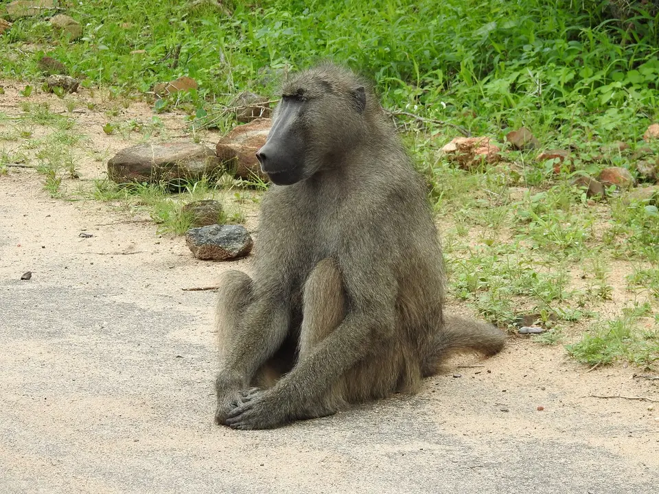 DSCN0749.JPG