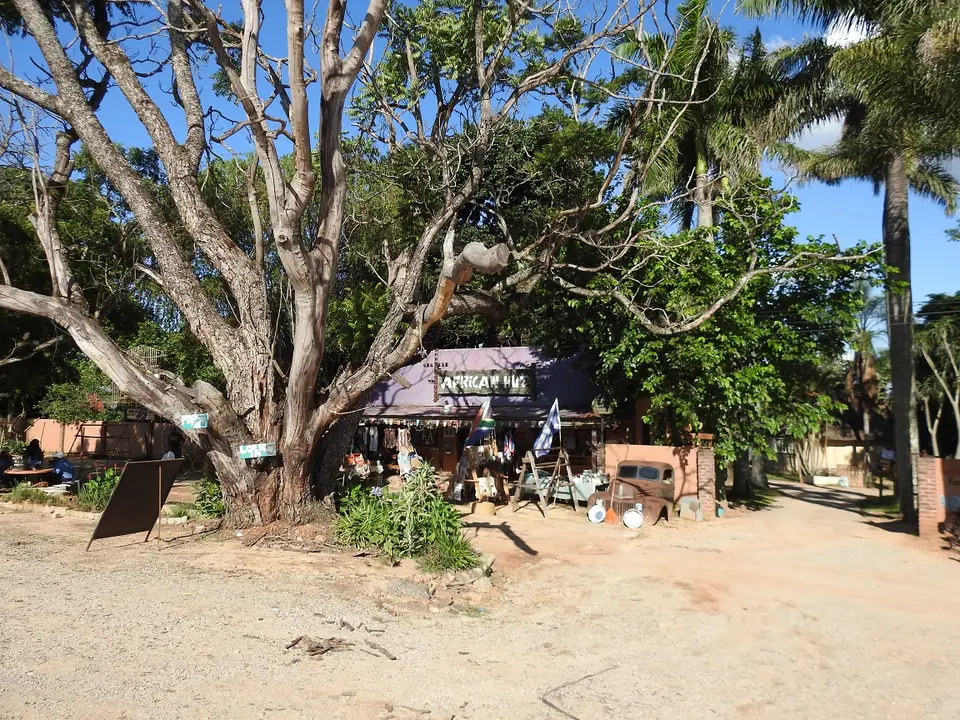 DSCN0826.JPG