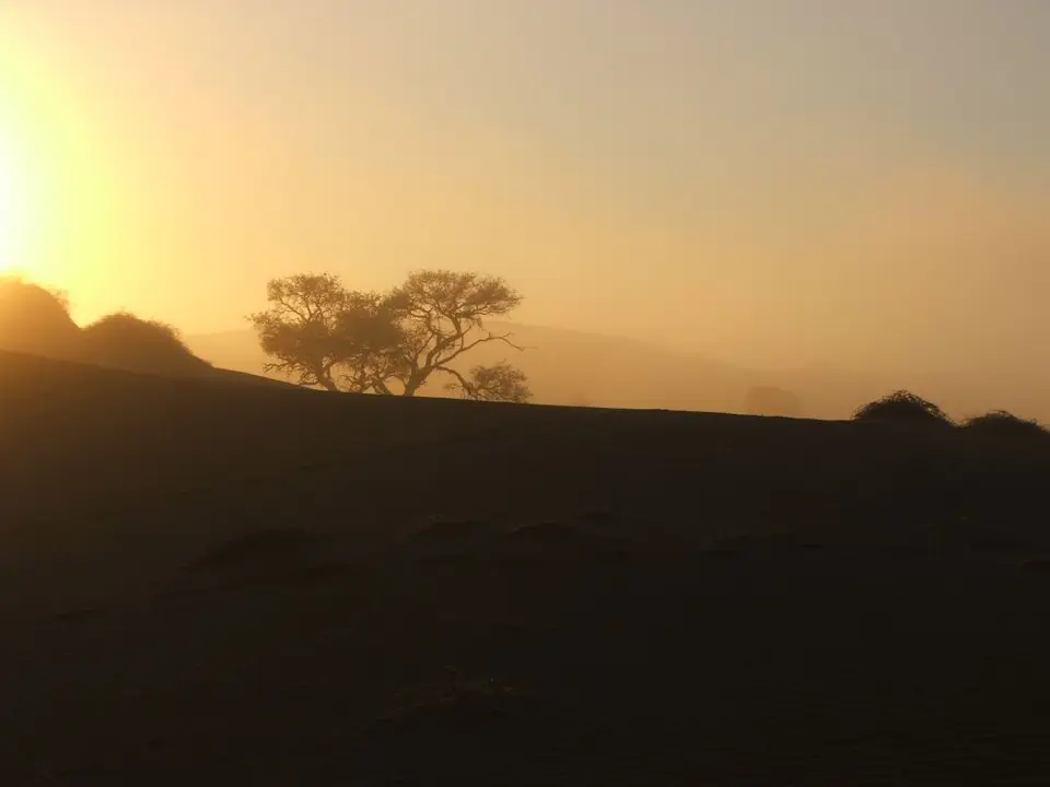 image001.jpg