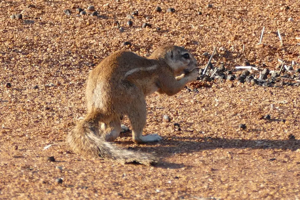 Namibia2018_1063.JPG