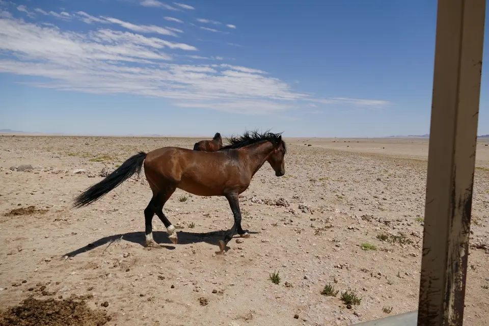 Namibia2018_1292.JPG