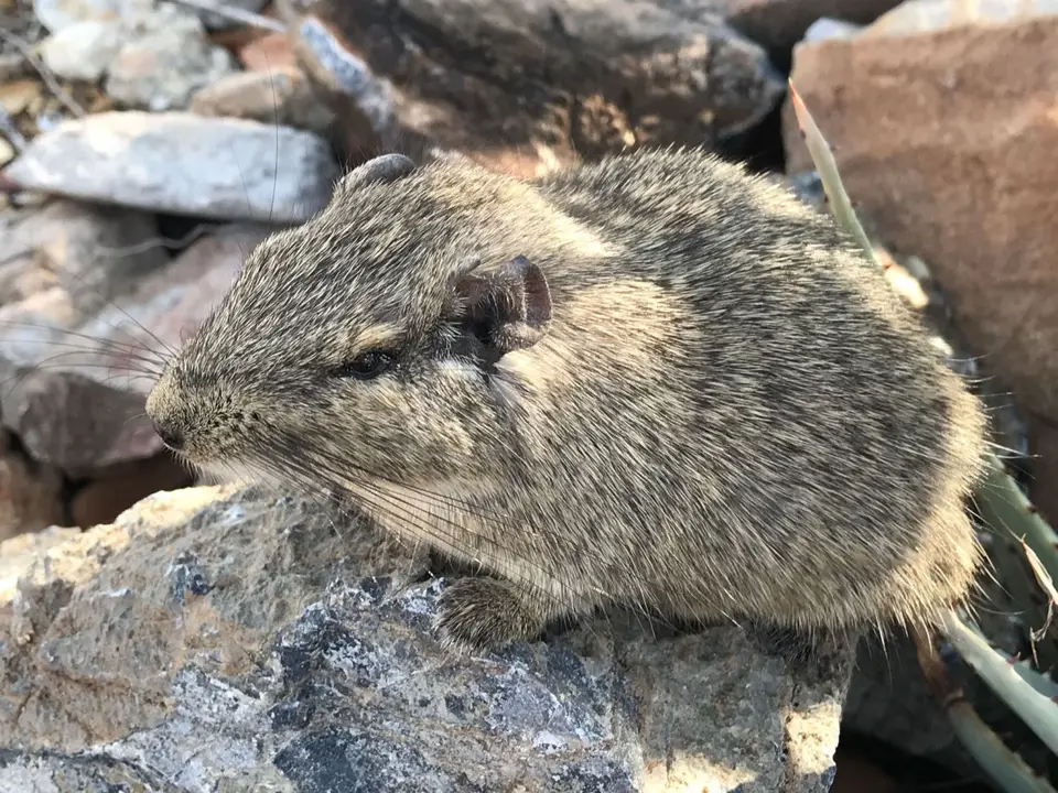 Namibia2018_1702.JPG