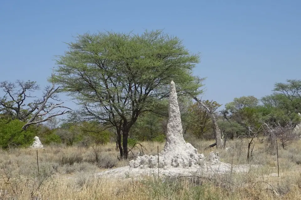 Namibia2018_1721.JPG