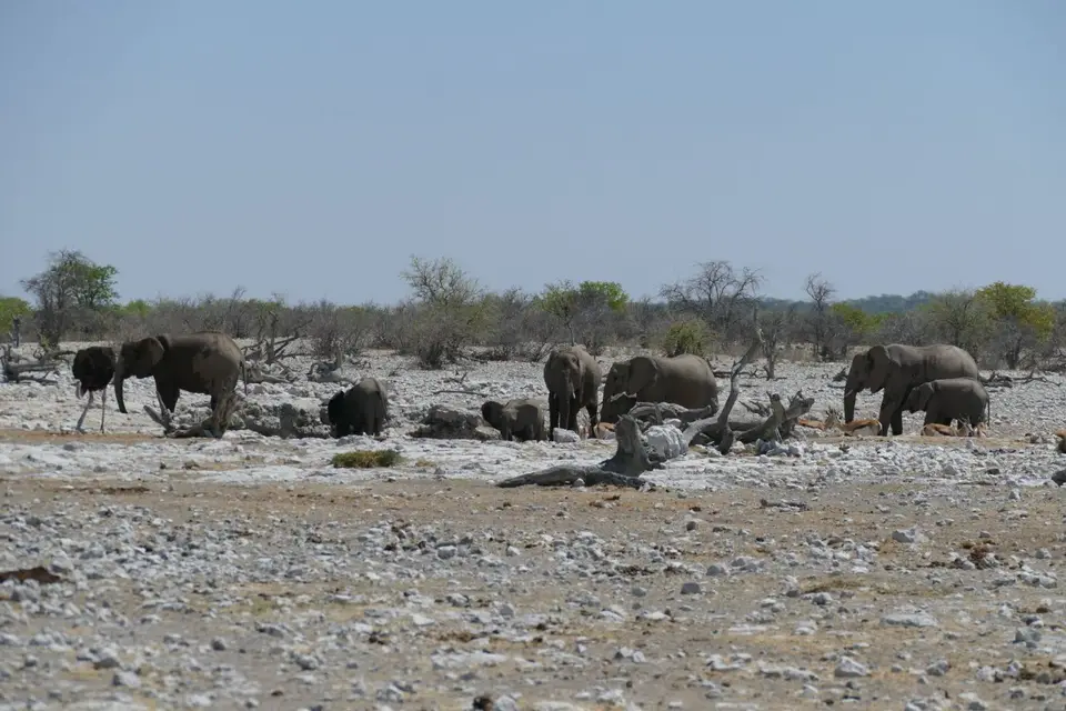 Namibia2018_1725.JPG
