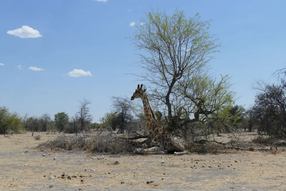 Namibia2018_1734.1.JPG
