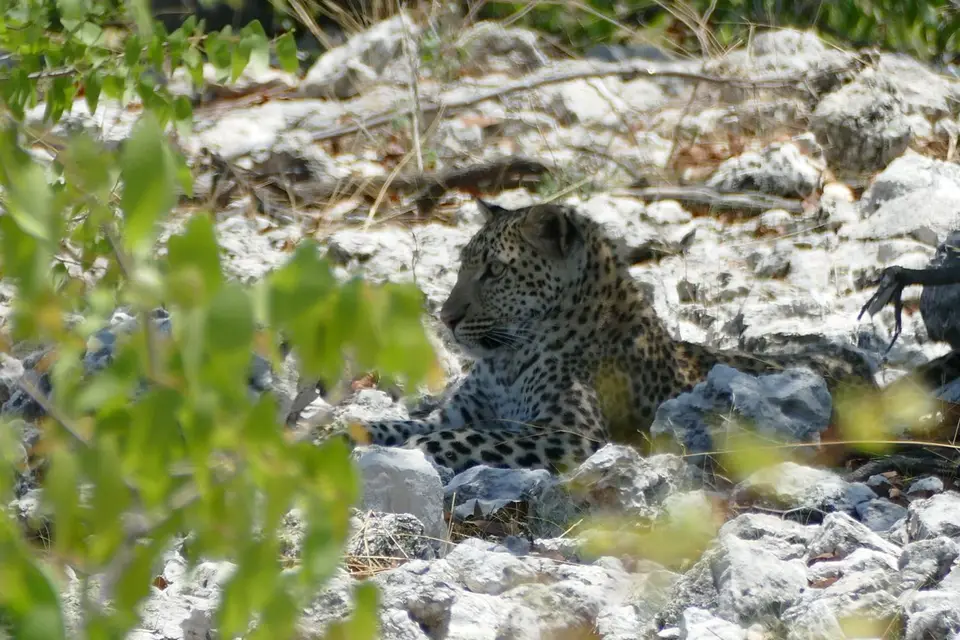 Namibia2018_1811.JPG