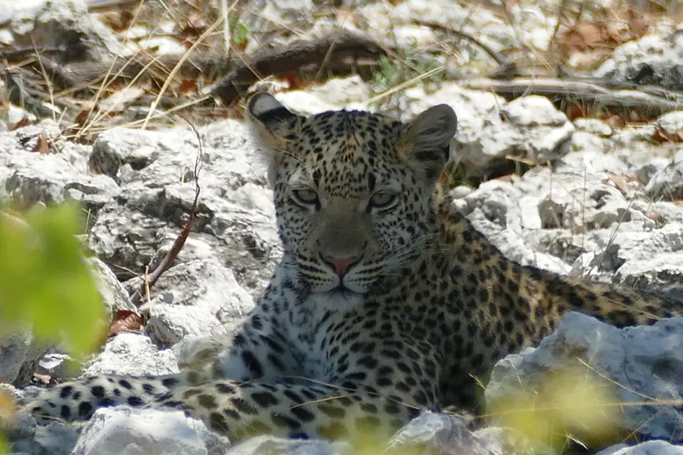 Namibia2018_1818.JPG