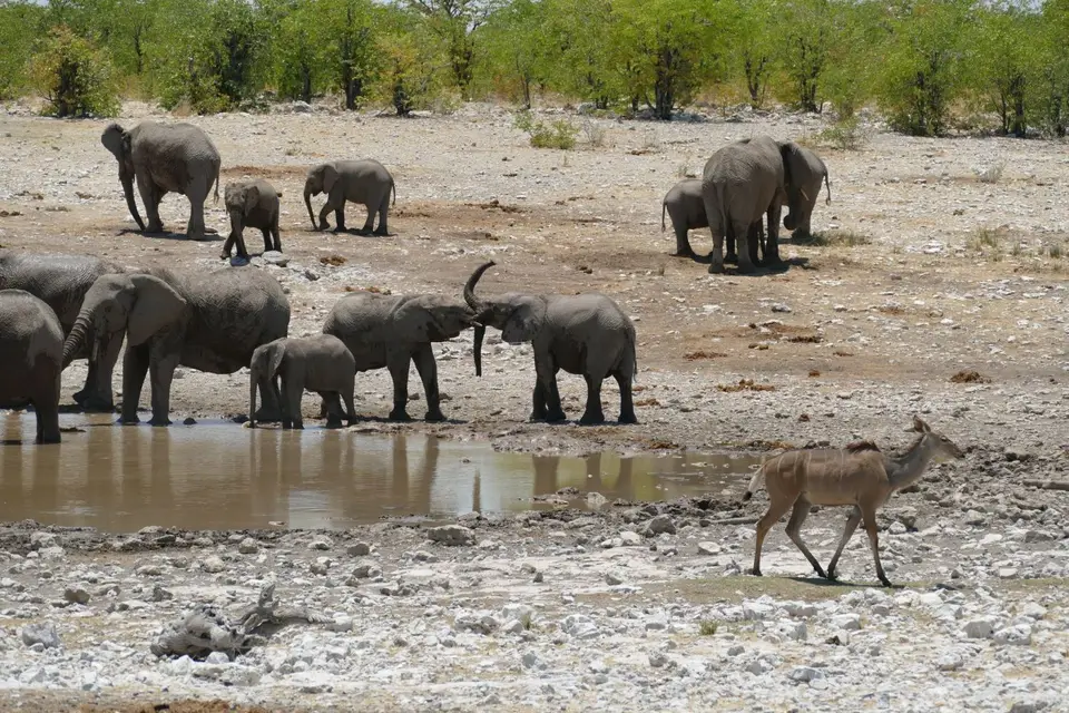 Namibia2018_1823.JPG