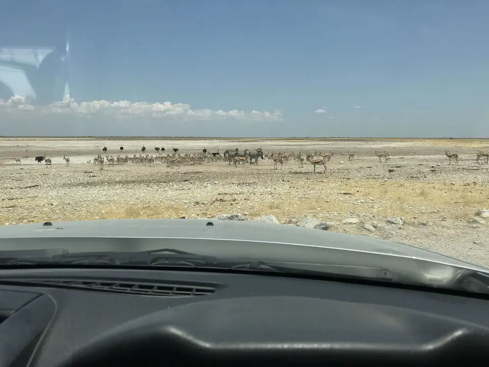 Namibia2018_1834.JPG