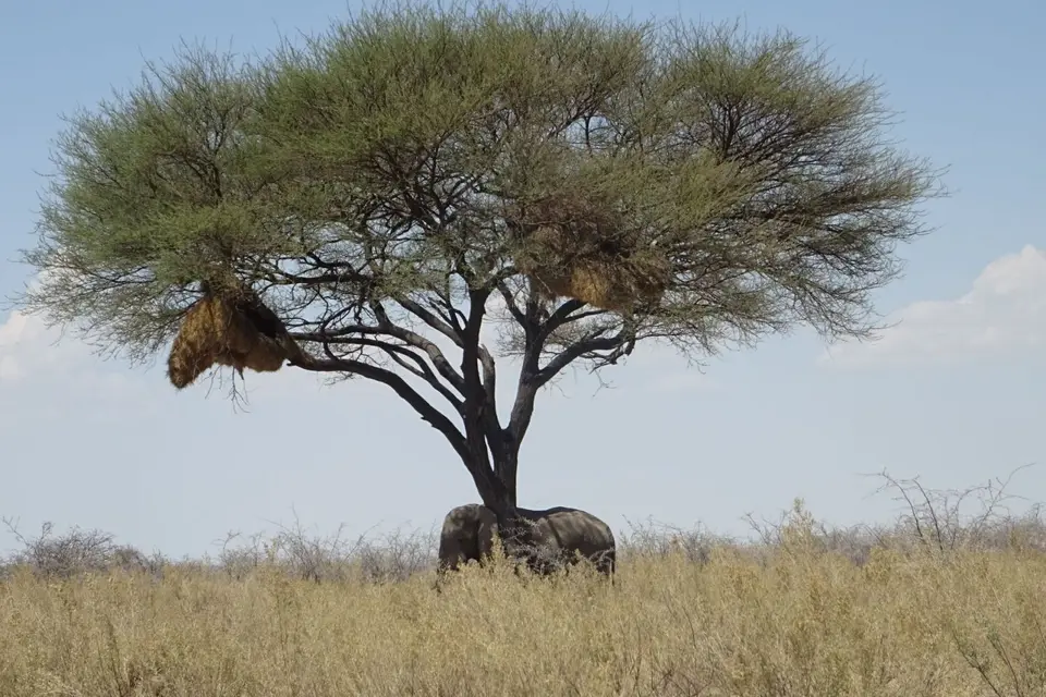Namibia2018_1839.JPG