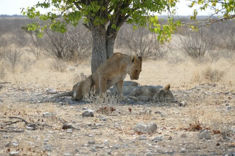 Namibia2018_1857.JPG