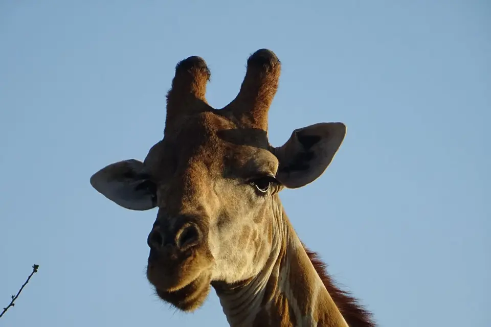 Namibia2018_1887.JPG
