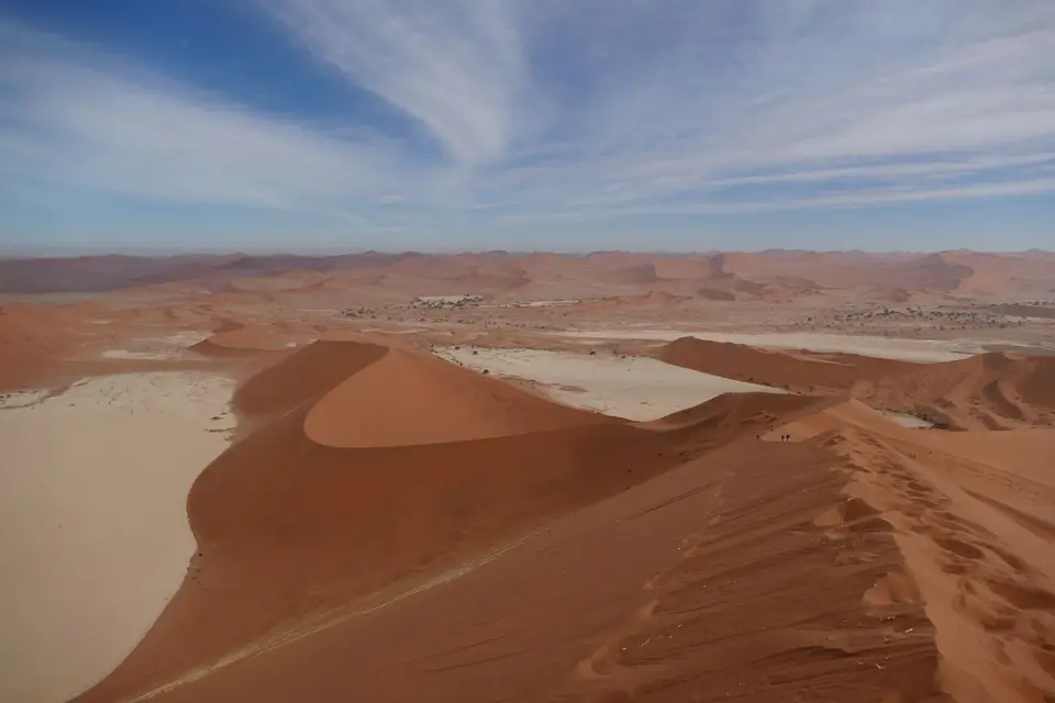 P1020017.JPG