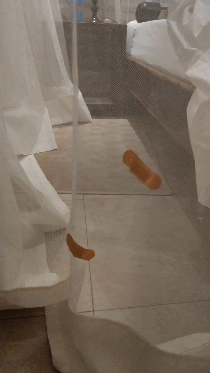 IMAG9547-20210105-103828174.jpg