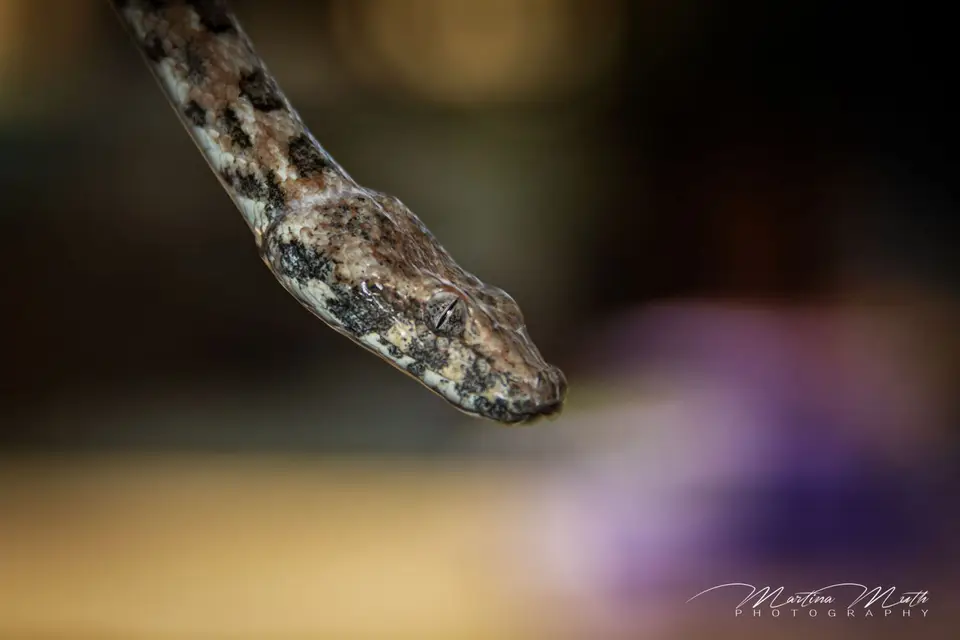 IMG_7188L.jpg