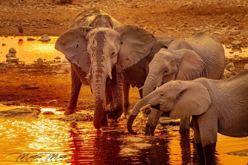 IMG_7862L.jpg