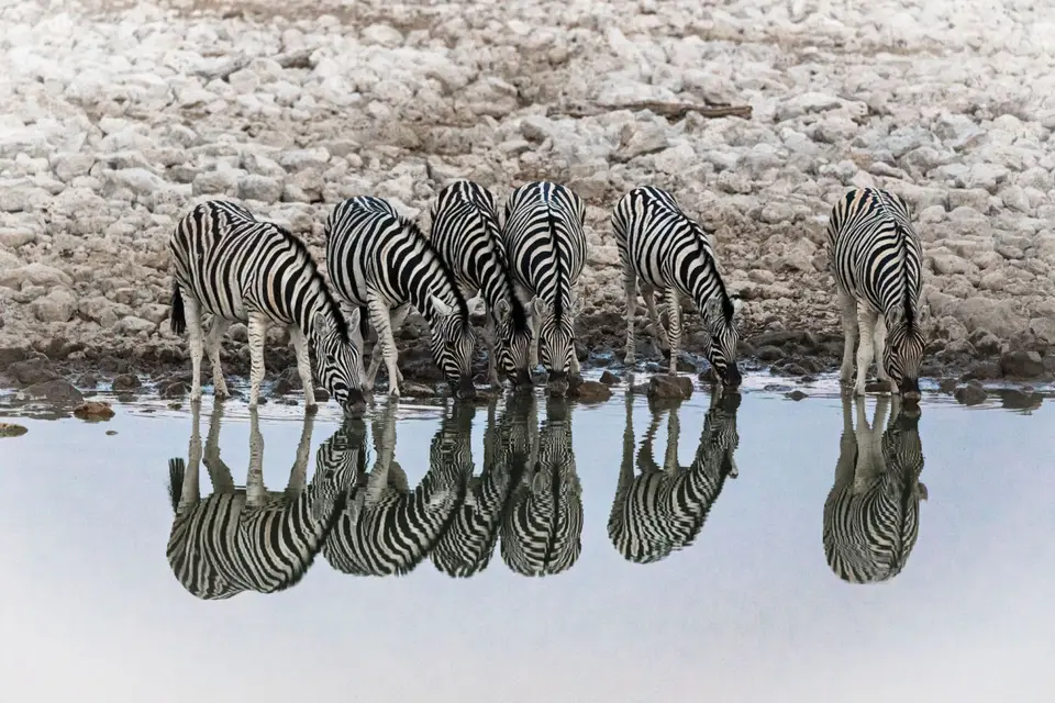 Namibia941.jpg