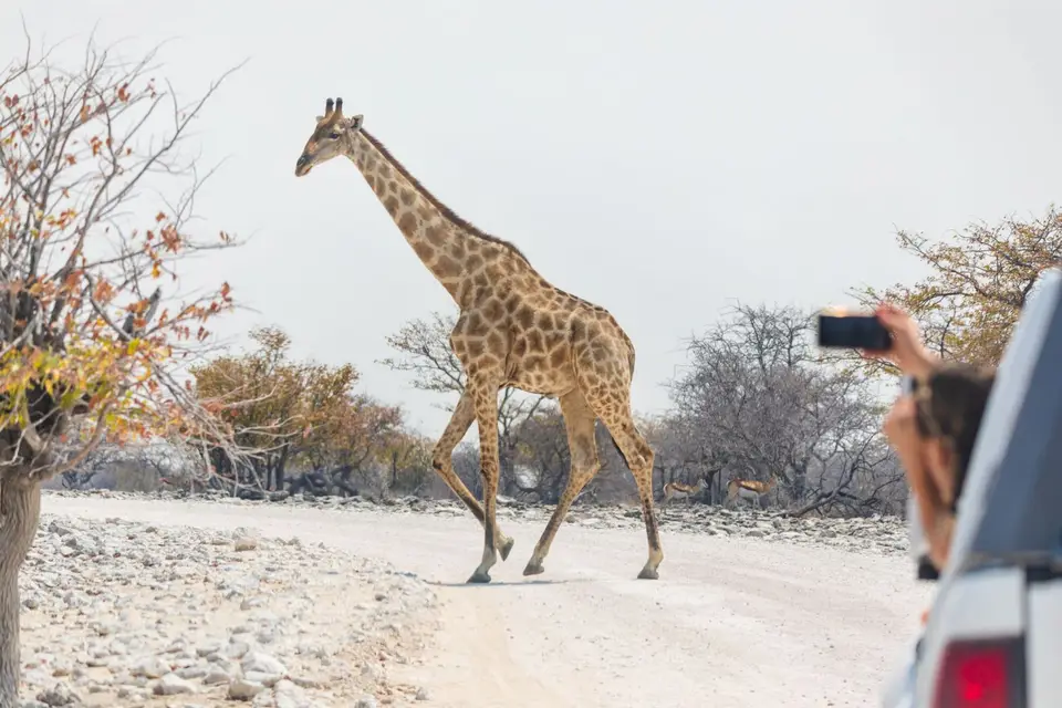 Namibia973.jpg