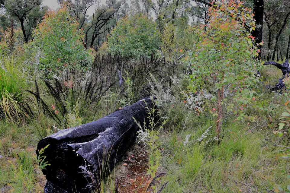 496.JPG