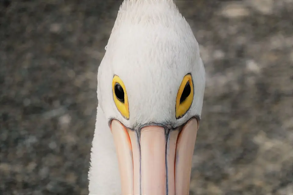 514.JPG