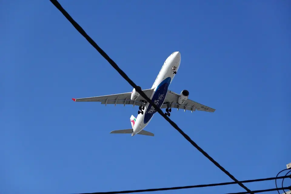 650.JPG