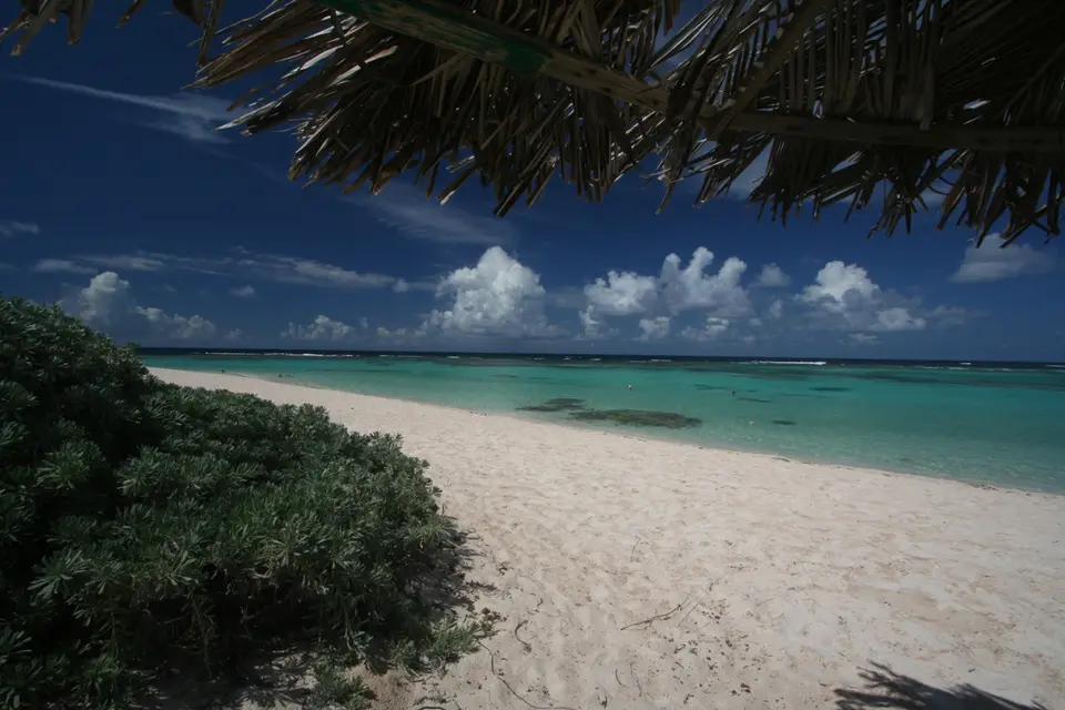 BVI100a.jpg