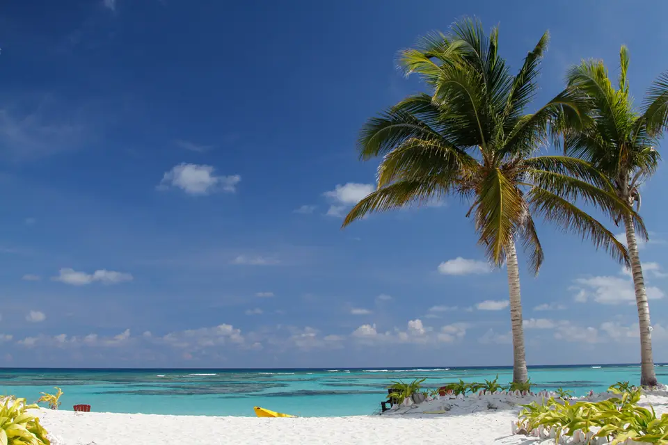 BVI108.jpg