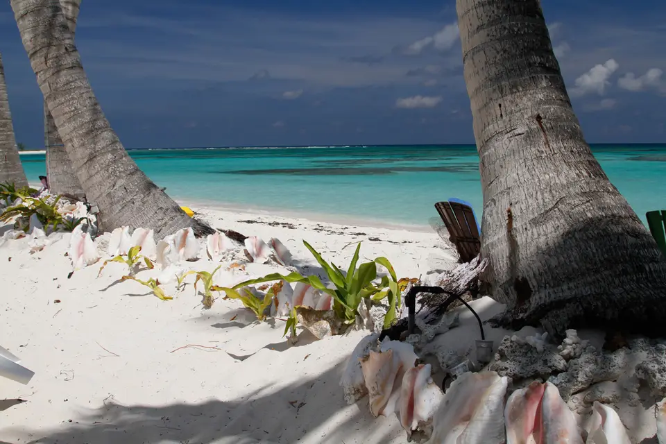 BVI114.jpg