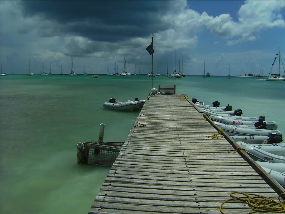 BVI118.jpg