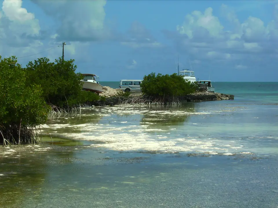 BVI119.jpg
