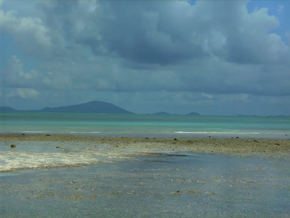 BVI120.jpg
