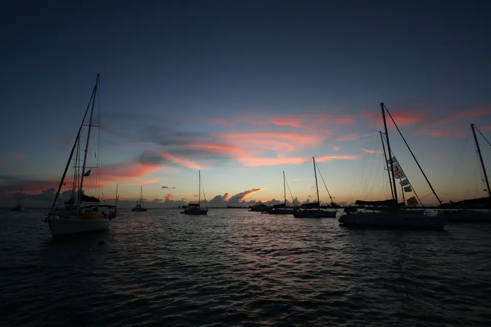 BVI126.jpg