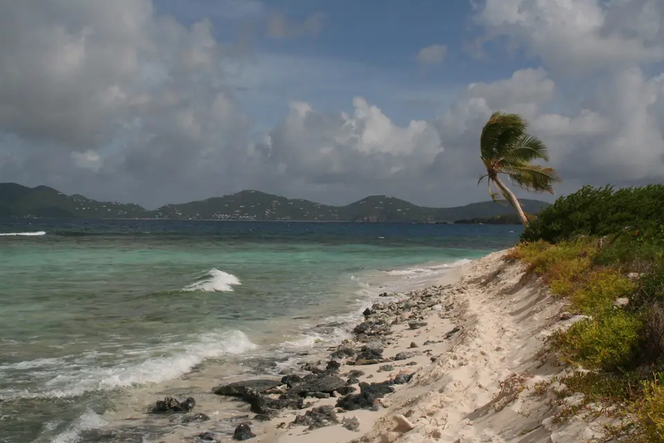 BVI143.jpg