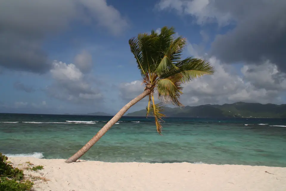 BVI144.jpg