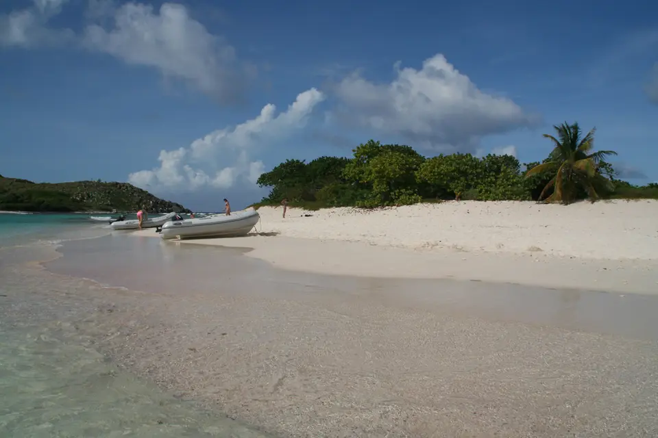 BVI145.jpg