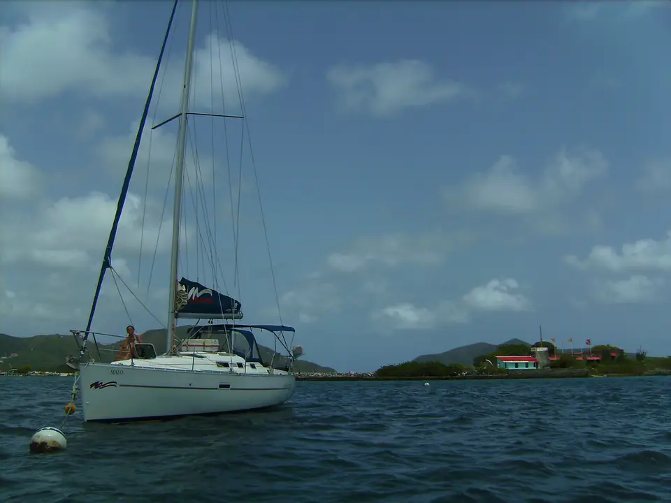 BVI15.jpg