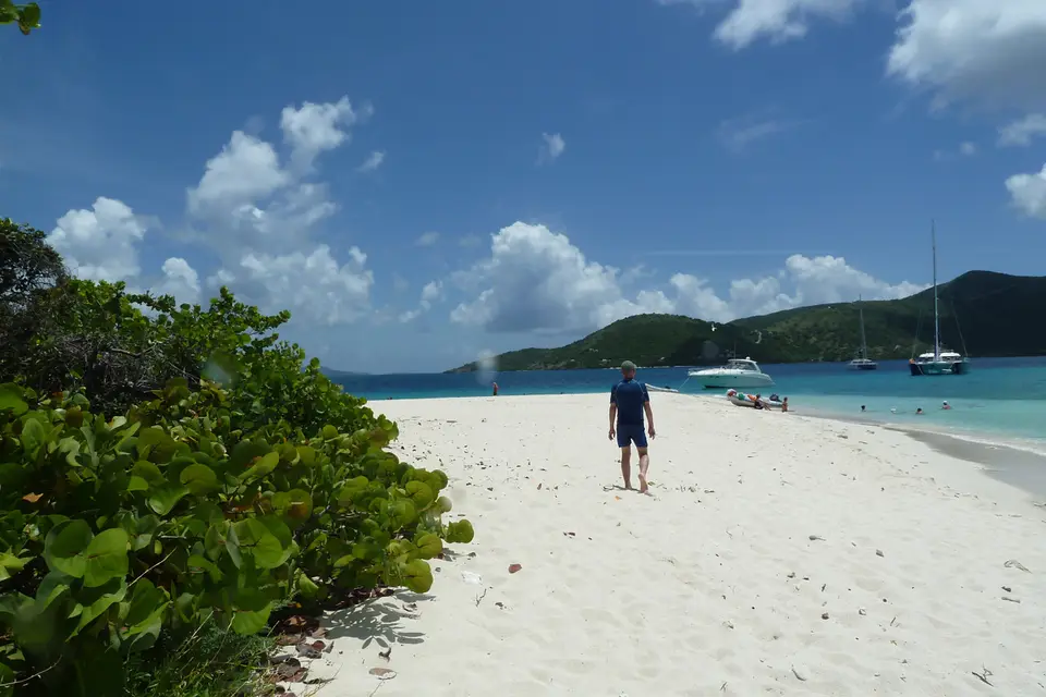 BVI150.jpg