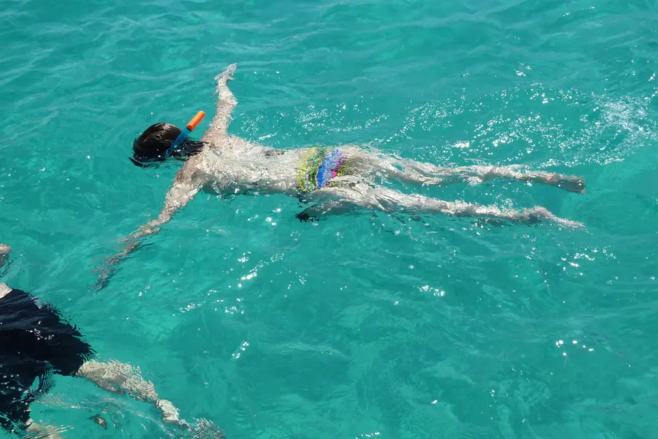 BVI152.jpg
