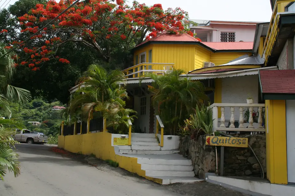 BVI165.jpg