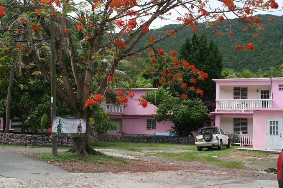 BVI166.jpg
