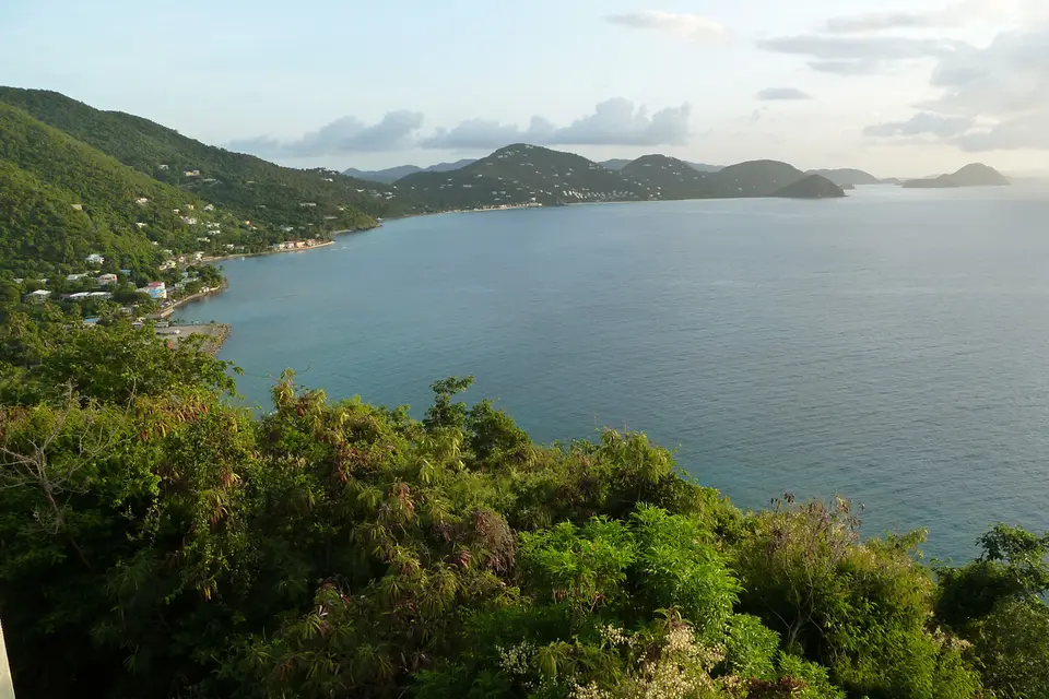 BVI168.jpg