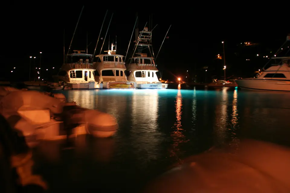 BVI170a.jpg