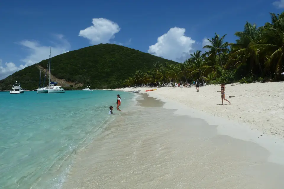 BVI173.jpg