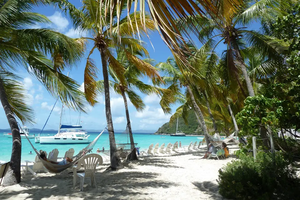 BVI174.jpg