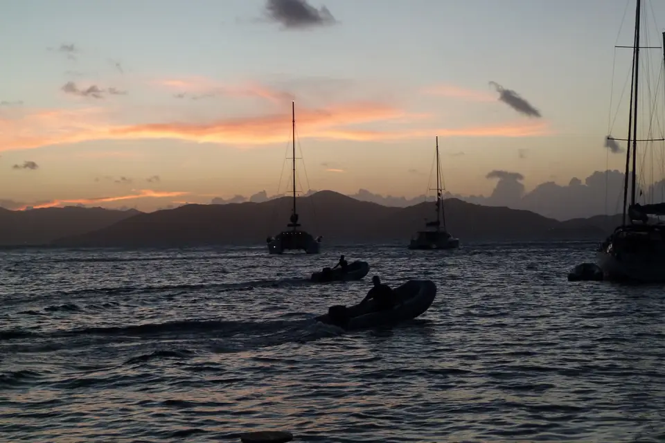 BVI195.jpg