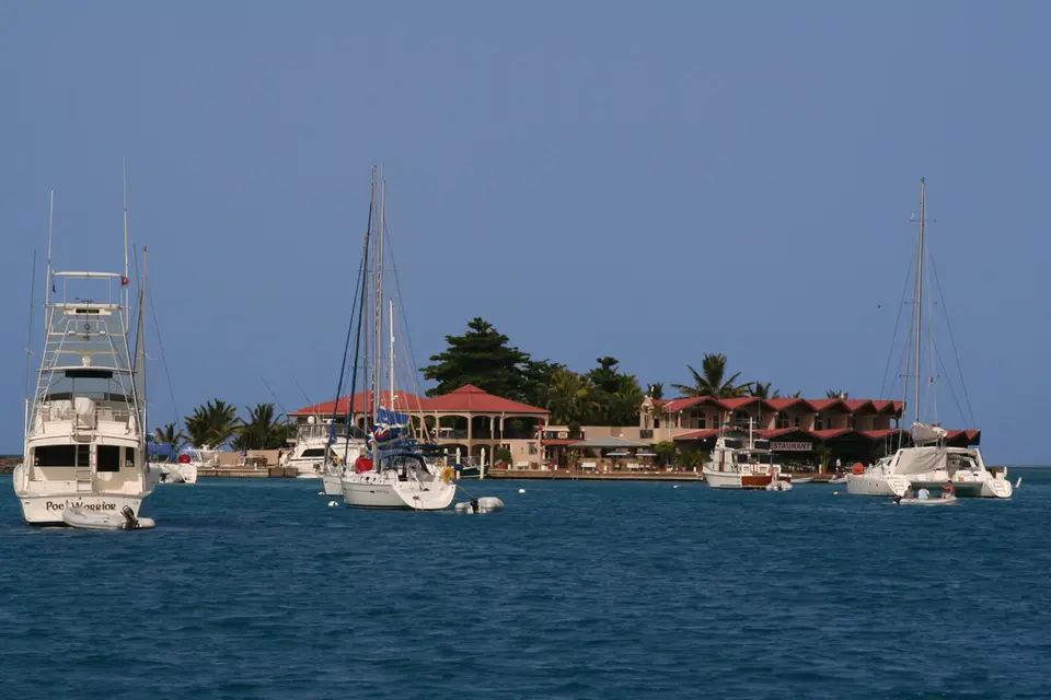 BVI30-2.jpg
