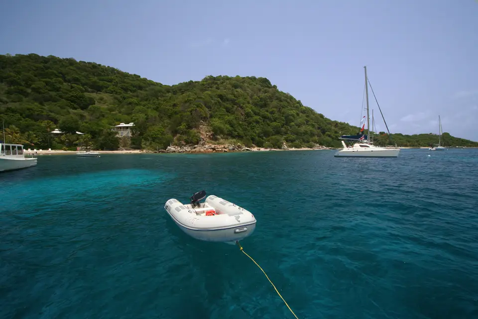 BVI304.jpg